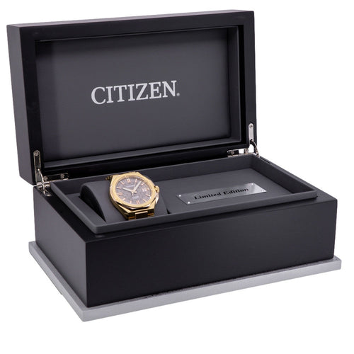 Citizen NB6085-57W
