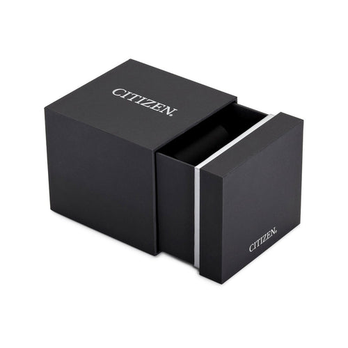 Citizen Ladies EW2250-59E Eco-Drive Black Dial Watch